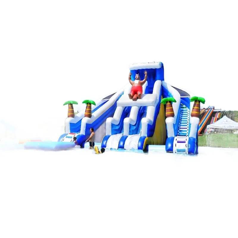 

Water Park Inflatable Dolphin Slide Movable Stand Pool
