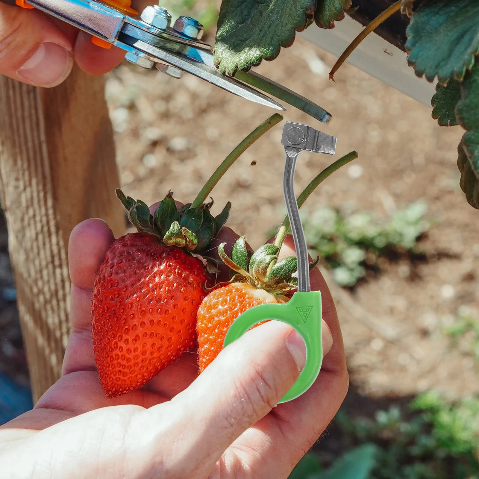 2 قطعة حلقة شجرة الفولاذ المقاوم للصدأ حديقة للفروع التشذيب نبات المشدات قطع دائم مثلث القاطع تشذيب أداة حديقة