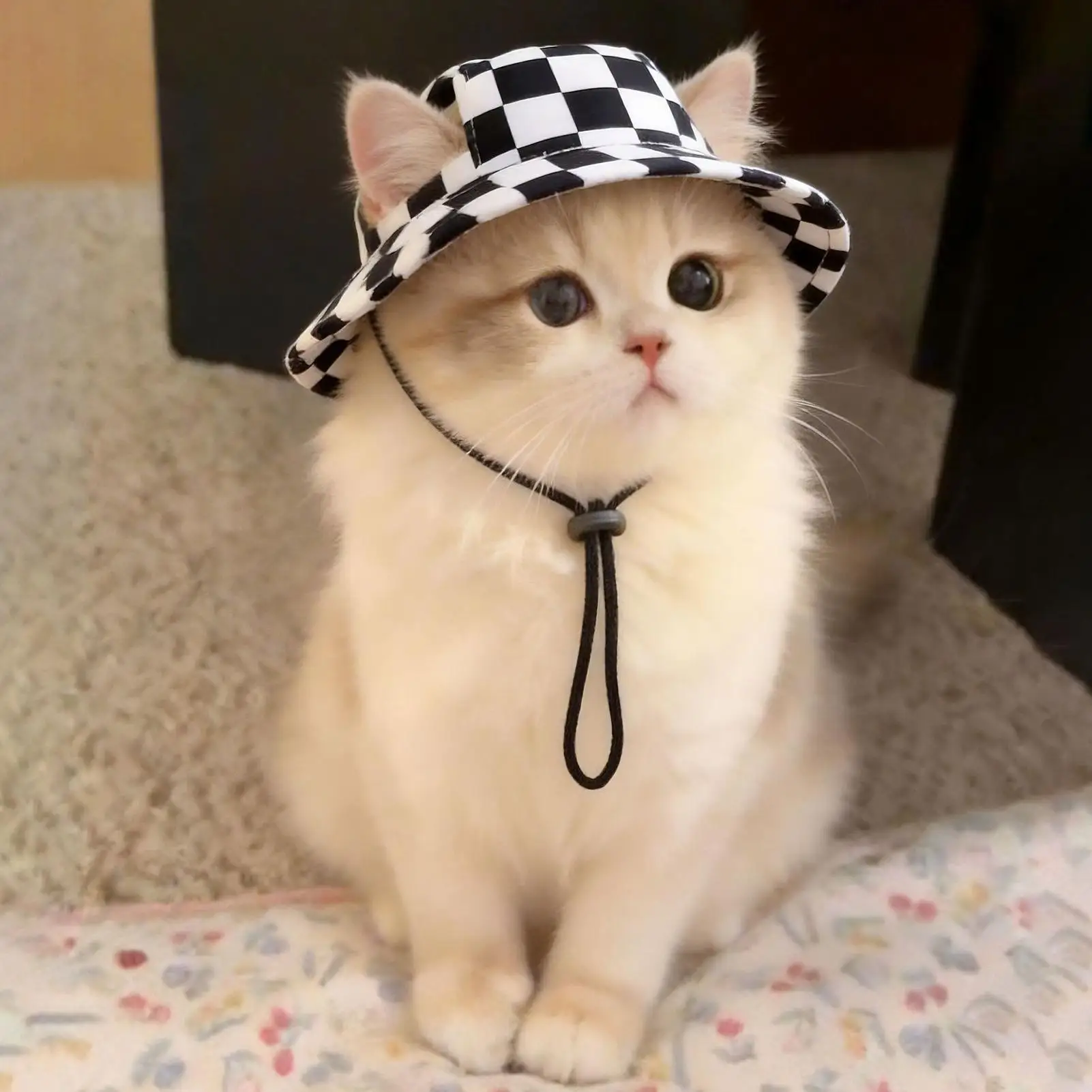 Dog Bucket Hat Adjustable with Ear Holes UV Protection Summer Dog Baseball Hat Cat Accessories for Small Medium Large Puppy