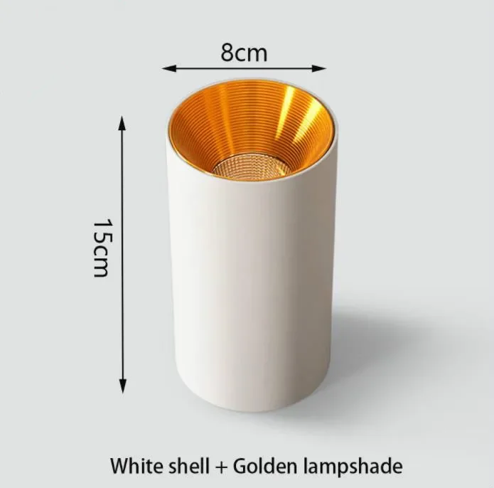 

YIGE 8*15cm LED Ceiling light Mounting Surface ceiling lamp 10W Cylinder for Foyer/Balcony/Corridor/Bedroom/Restaurant