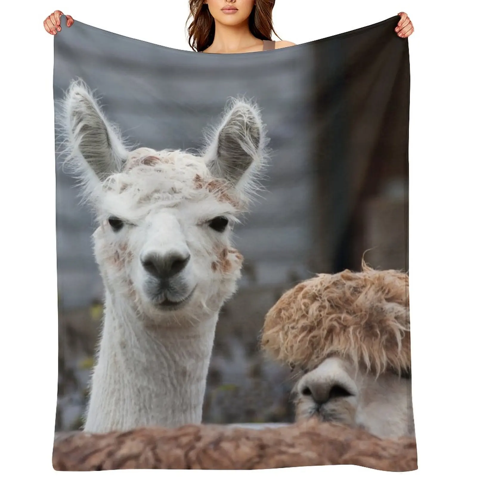 

Curious alpacas cute animals Throw Blanket warm for winter Bed Nap Luxury Brand Blankets