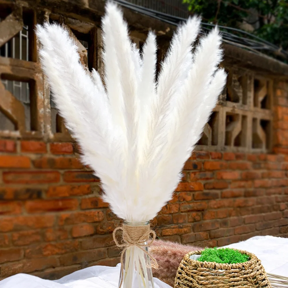 50Pcs Natural Fluffy Dried Pampas Grass Bouquet Set Boho Home Decor Dry Flower Pompous Reed Bunny Tail Wheat Stalk Decorative