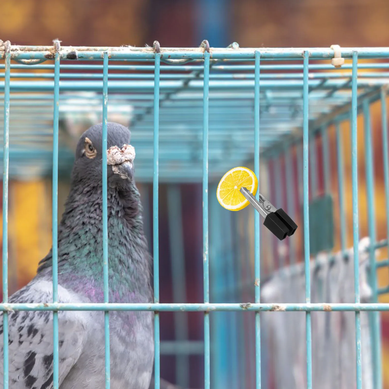 

20pcs Bird Cage Accessories Durable Lightweight Safe Cage Door Clamps Iron Buckle Clips for Pet Bird Cages