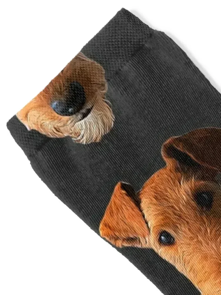 Airedale Terrier Head Art Lakeland Welsh Socks happy gift Socks Female Men's