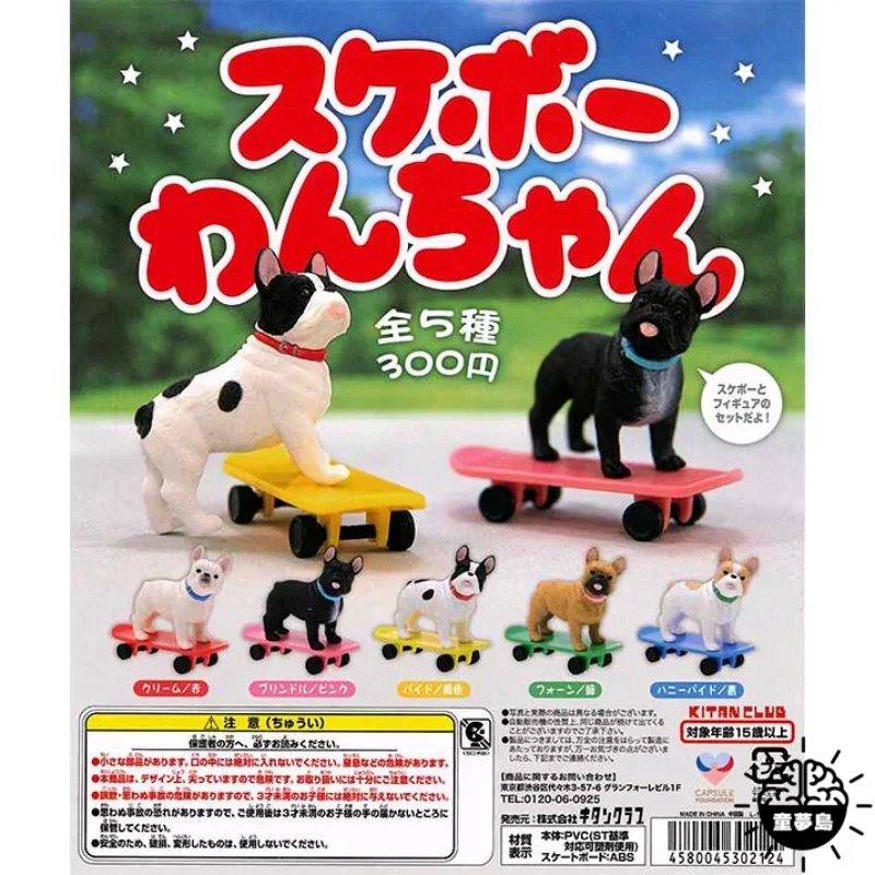 Original Kawaii Kitan Club Gashapon Figure Skateboard Dog French Bulldog Mini Animal Figurine Anime Decor Capsule Toys