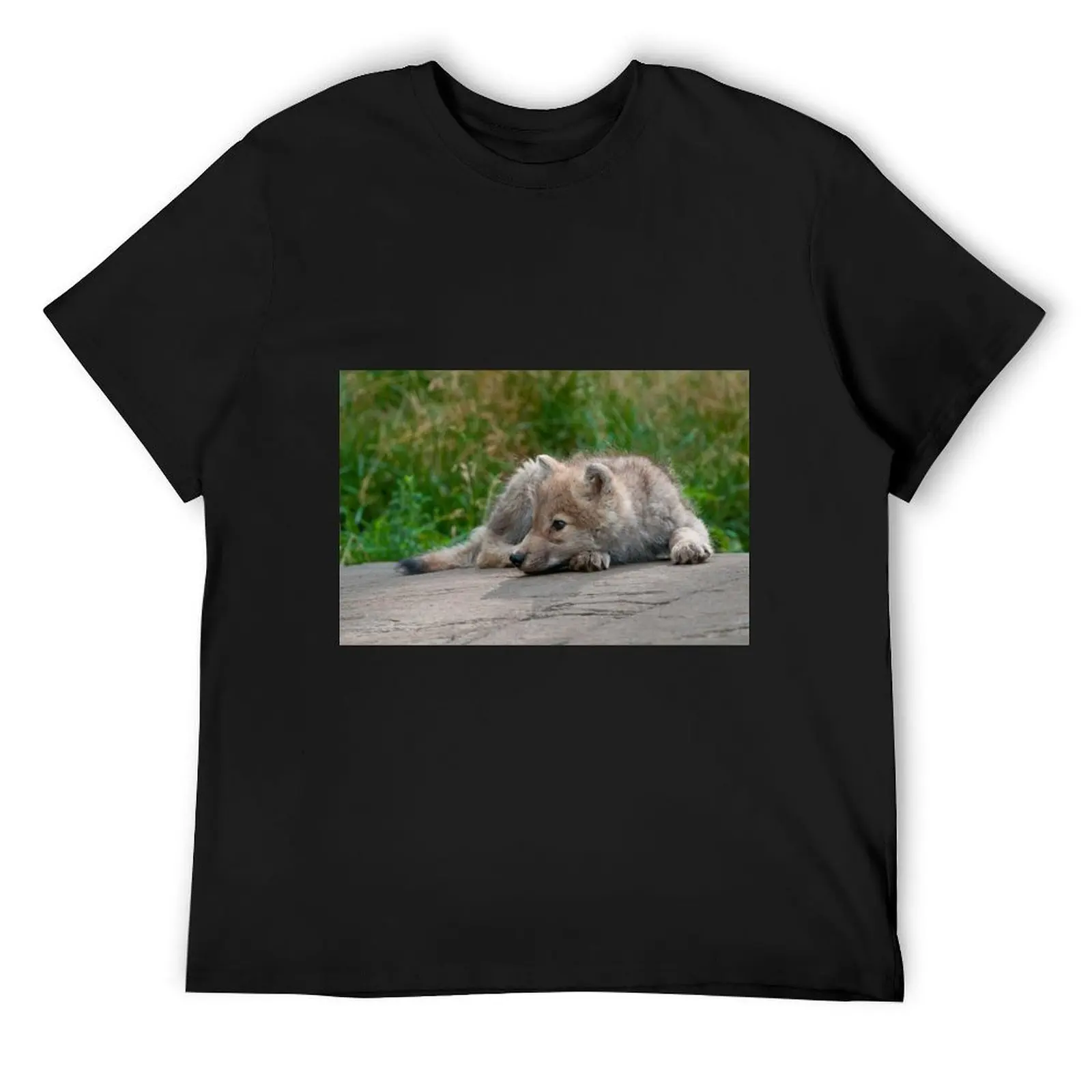 

Arctic Wolf Pup T-Shirt designer shirts cute clothes mens graphic t-shirts hip hop