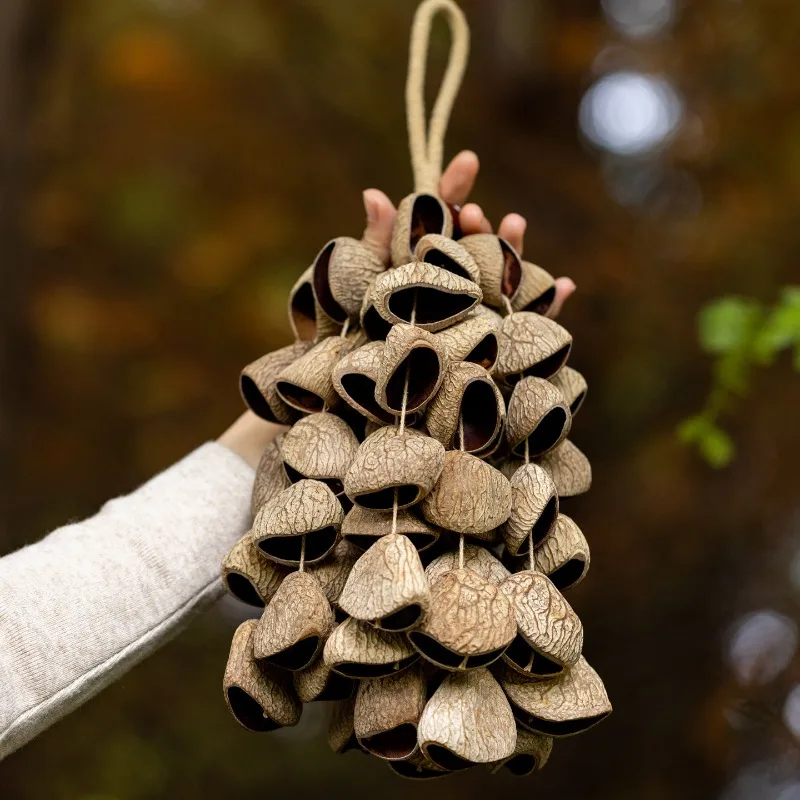 Natural Fruit Shell Wind Chime Handmade Sound Healing Handbell Outdoor Meditation Yoga Hanging Wind Chime Portable Musical Bells