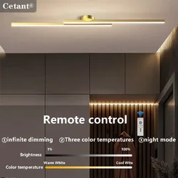 Smart LED Ceiling Light Remote Control 60/80CM Lights Bedroom Living Room Hallway Kitchen Balcony Home Lamp Led Lighting Lustre