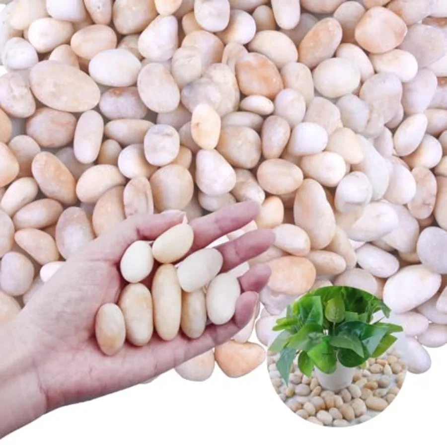 

20Ib Cream White River Rock- Decorative Pebbles for Plants - River Rocks for Outdoor Landscaping- 0.3"-0.8" inch High Polished