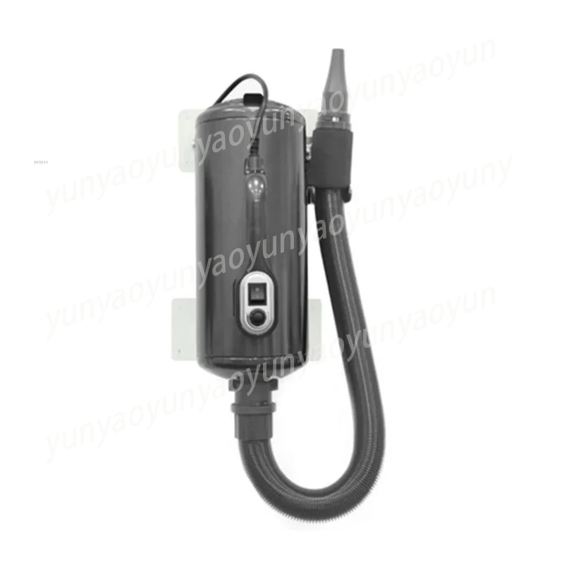 Professional Salon High-Power Hair Dryer, Grooming Accessories, Dual Motor High Power, Pet Supplies, Dogs