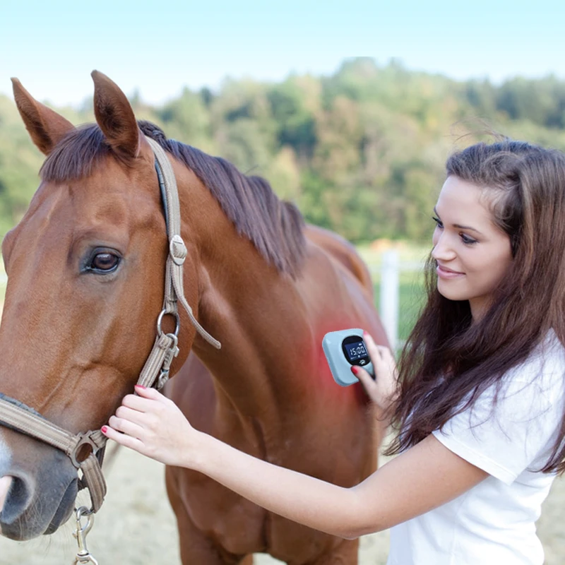 Veterinary Equipment Laser Healing for Dog Arthritis Horse Red Light Therapy Pad No Side Effect
