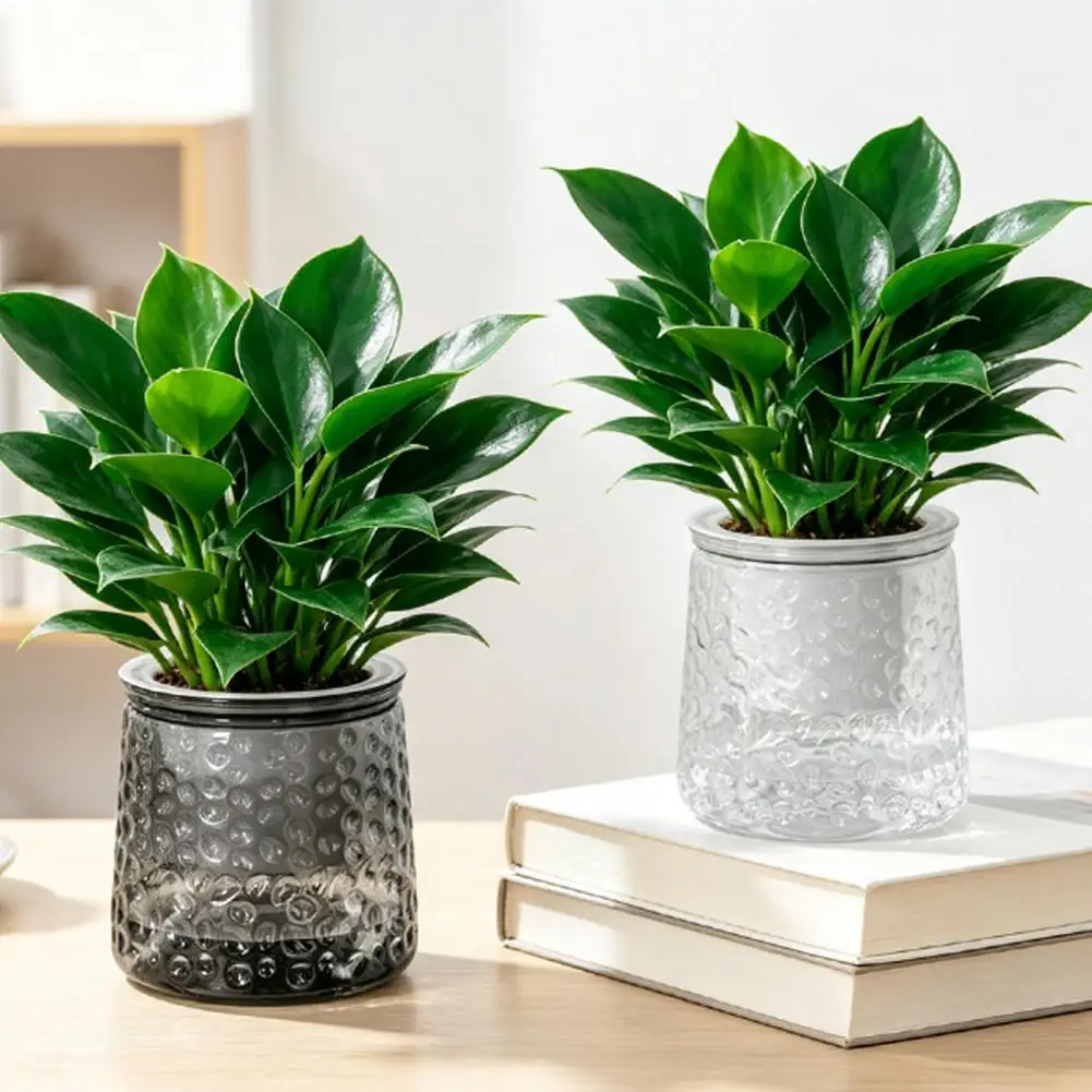 Minimalist Home Office Decor Self-watering Planter Pot with Thick Transparent Design Embossed Decorative Indoor Flower Pot