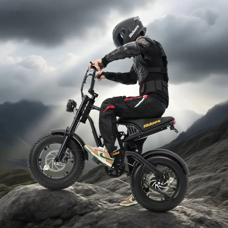 

Mini 16 inch fat tire electric bicycle 25km/h 500W 48V 10.5ah electric bicycle