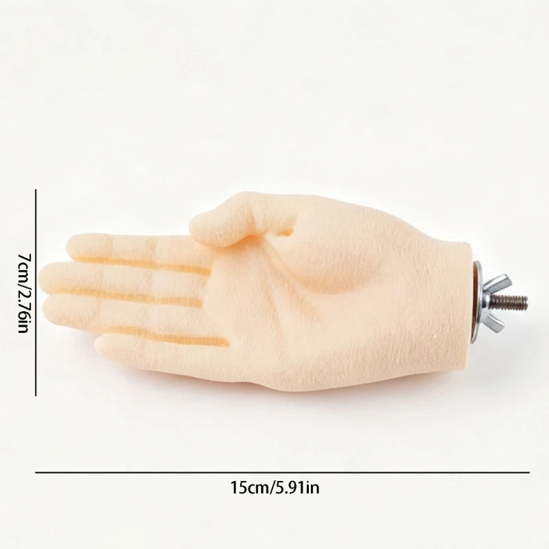 Hand-Form Training Stand for Small Hookbills, Daily Interaction, Progressive Contact Practice, and Bird Cage Placement JOMD