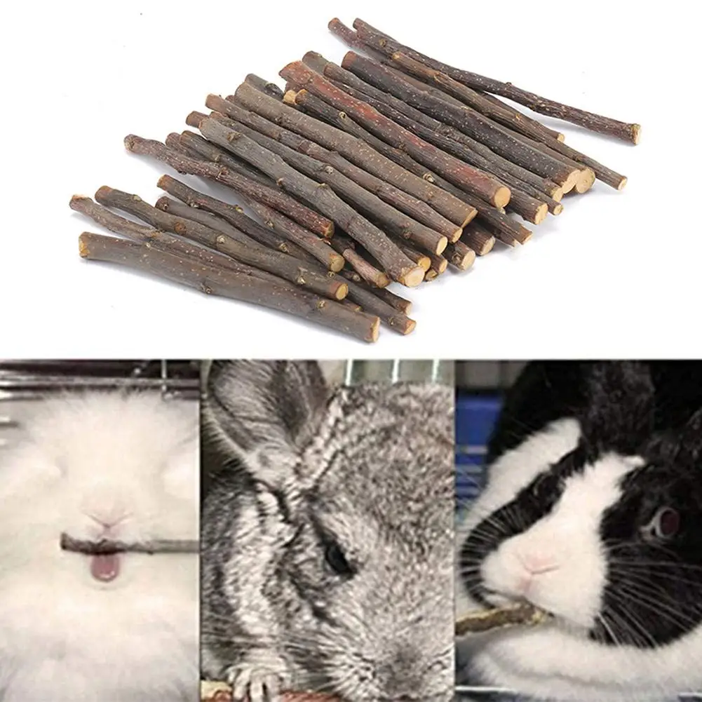 Great Apple Tree All-Purpose Rabbit Molar Apple Tree Branches Eco-friendly Lightweight Hamster Chew Sticks for Chinchillas