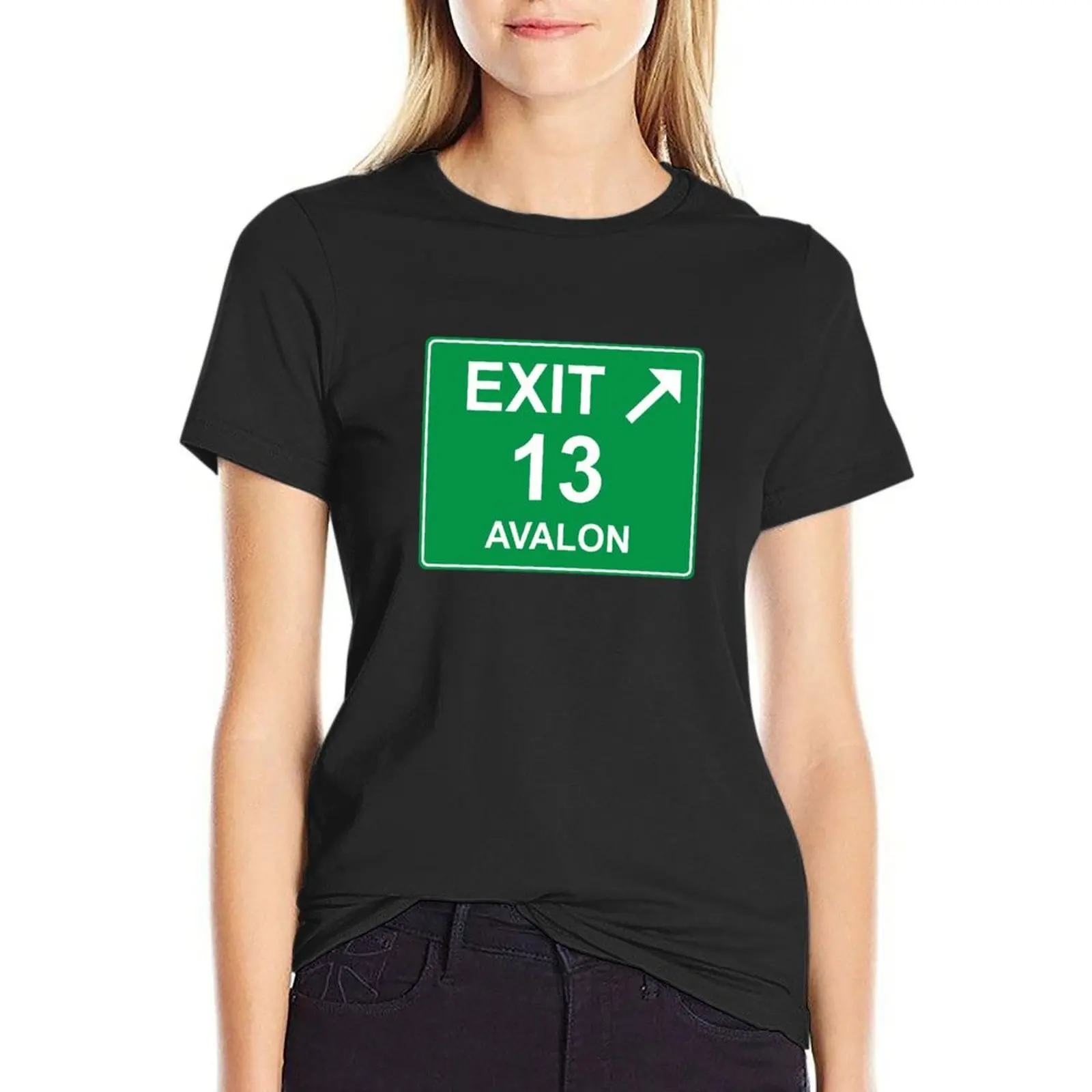 Exit 13 - Avalon Exit Sign T-Shirt vintage clothes aesthetic clothes Women clothes