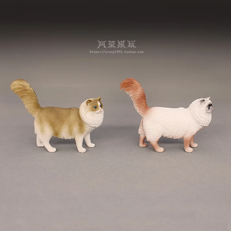 Simulazione cognitiva Pet Cat Modello animale Sphynx Cat Gatto senza peli Ragdoll Action Figures Accessori per ornamenti Giocattoli in miniatura