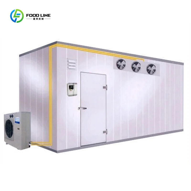 High Efficiency Blast Freezer for Seafood and Ice Cream Fast Freezing Commercial Industrial Food Preservation Custom