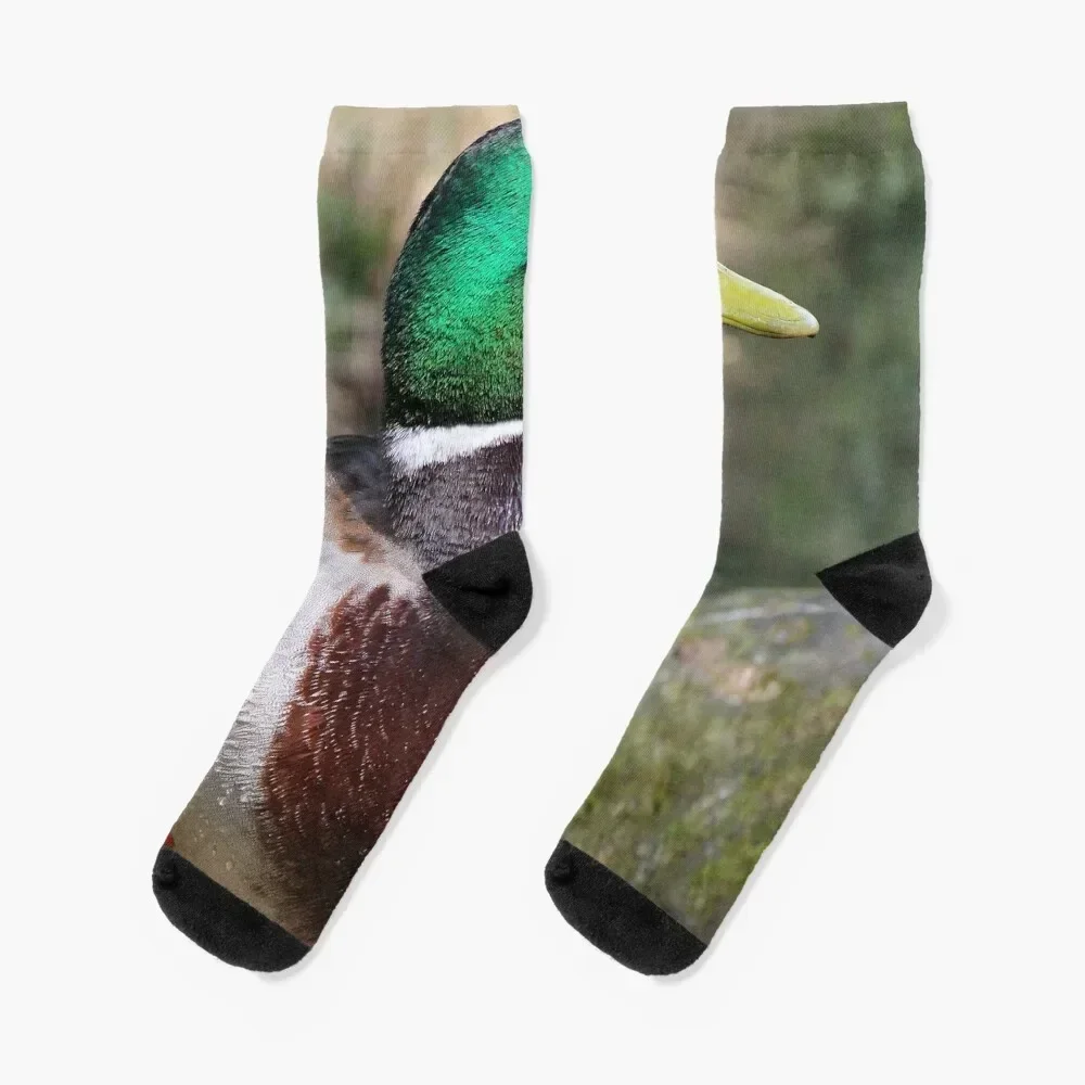 

A Mallard Duck Socks anti slip football christmas gift Novelties custom Socks Woman Men's