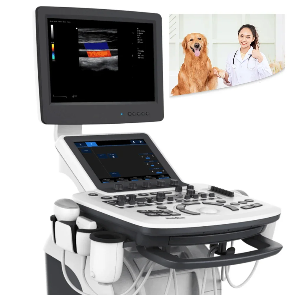 MEDIC INSTRUMENT vet ultrasound transductor wireless echocardiography table ge ultrasound machine with probes for dog clinic