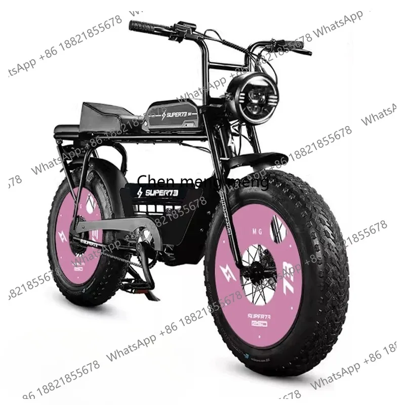 73Y1S20 inch new national standard retro electric bicycle adult walking electric donkey battery car
