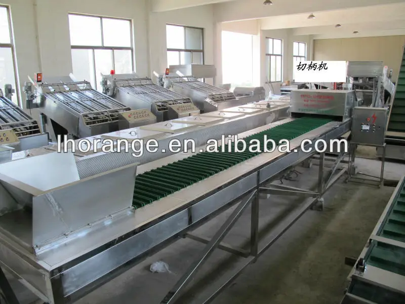 High Quality Continuous Fresh Sweet Corn Cooking Machine Sweet Corn Processing Line