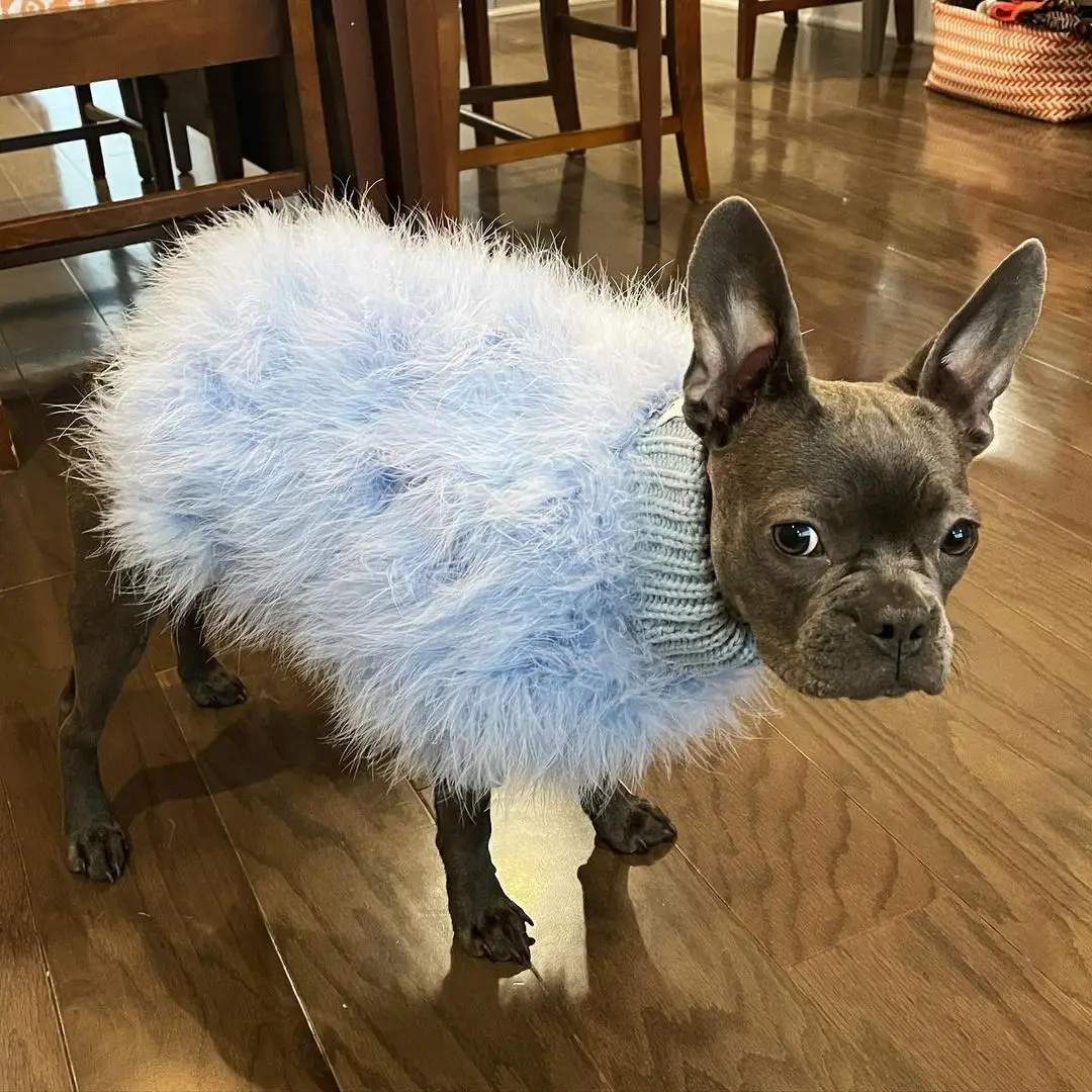 SUPREPET Turkey Feather Pet Clothes Winter Designer Puppy Jacket Luxury Dog Sweater Warm Cat Clothing Kitten Chihuahua Supplies