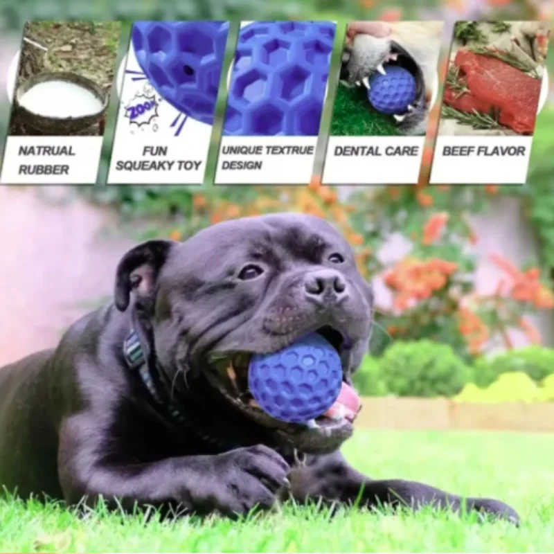 Nuevos Juguetes para Perros, Resistentes a Mordidas, Interactivos, Pelotas de Goma Natural con Sonido, para Masticar y Limpiar los Dientes, Productos para Mascotas