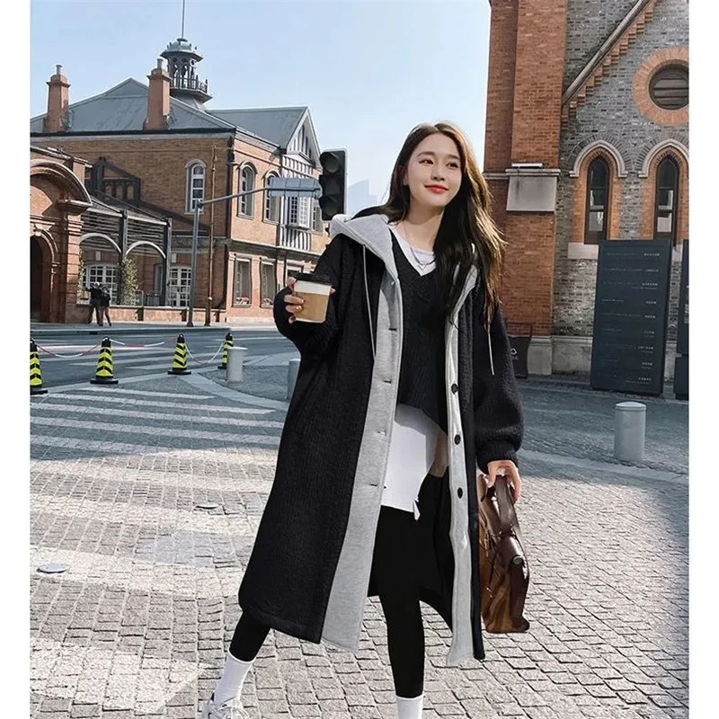 Fake Two-piece Hooded Plush Coat For Women  Autumn Winter New Plush Thickened Warm Loose Fitting Slimming Mid Length Jacket Tren