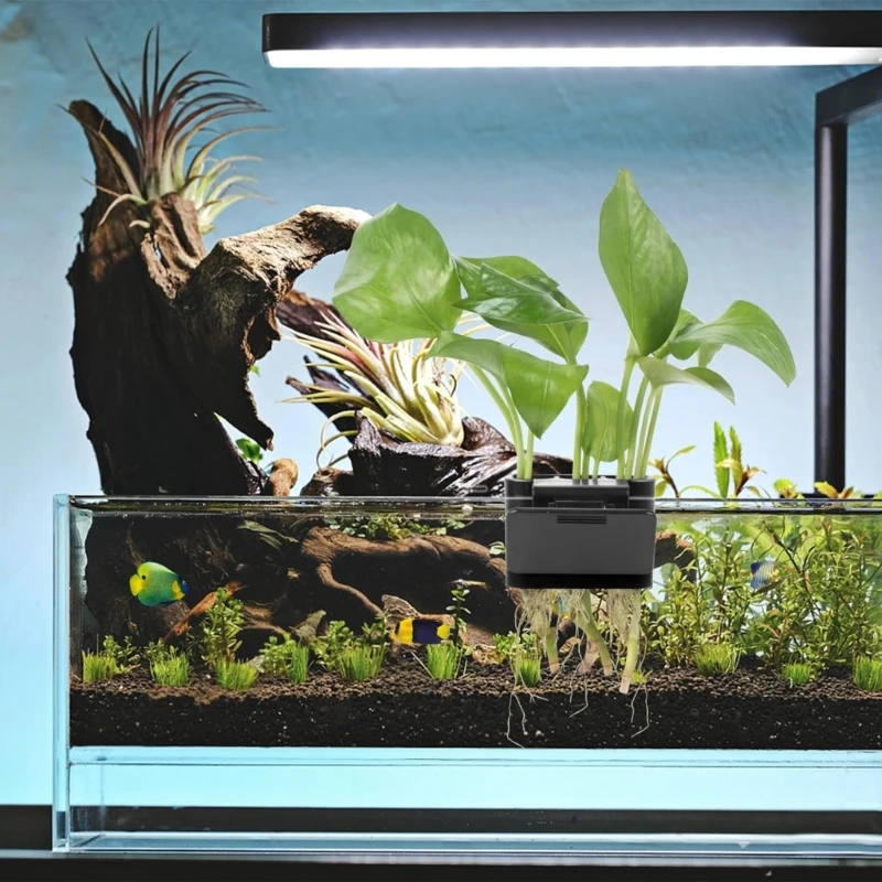 Porte-plante aquatique à 3 trous, cadre poisson, étagère pour Aquarium, culture plantes aquatiques, matière plastique pour