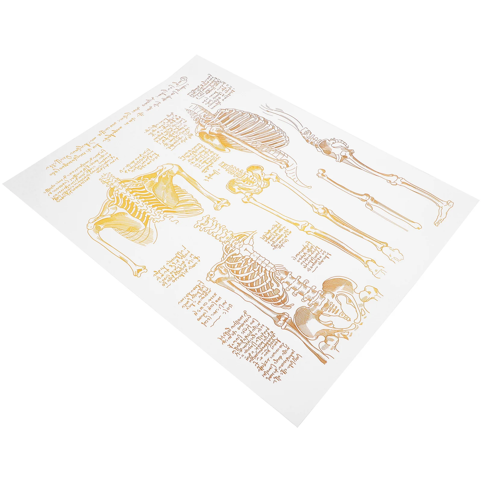 Small Hospital Wall Decor Poster Decorative Painting/hanging Picture Body Canvas Nurse