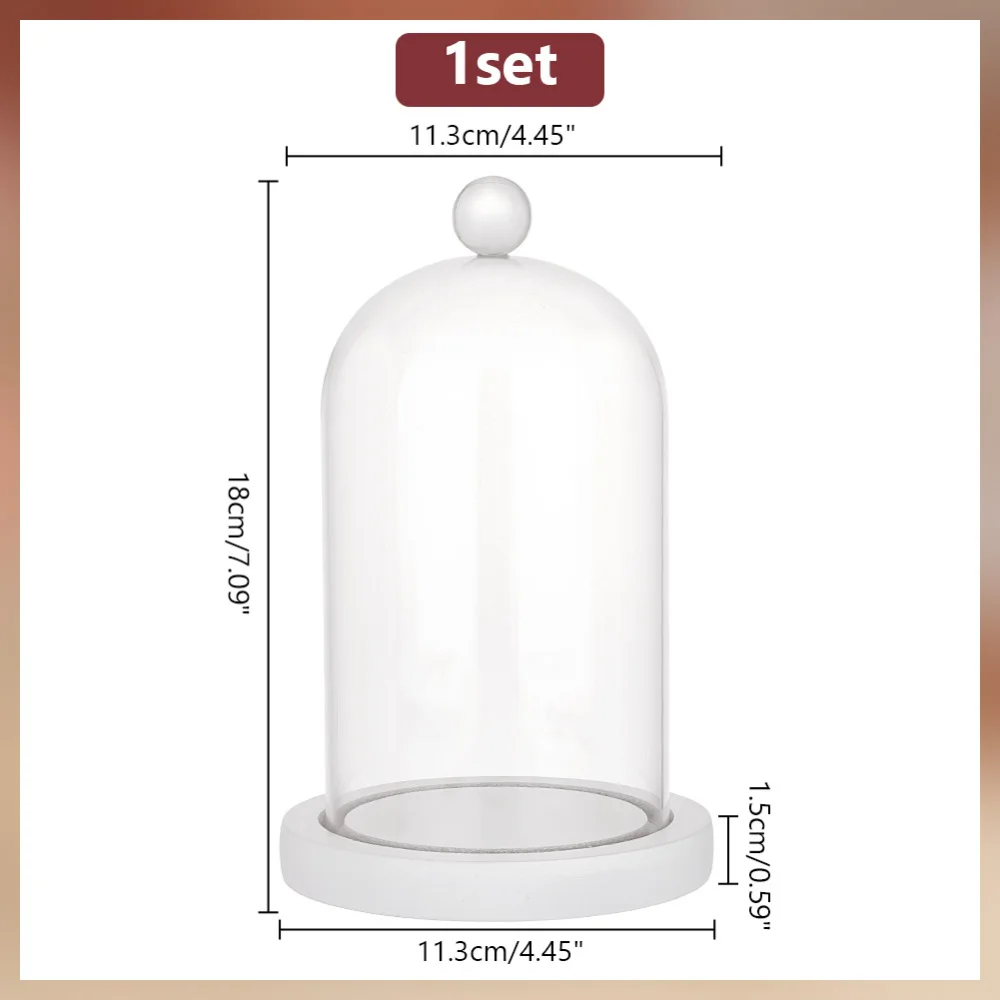 Helder glazen koepeldisplay Balvormige vitrine van helder glas met tarwehouten basis Decoratieve displaykoepelkoffer voor planten