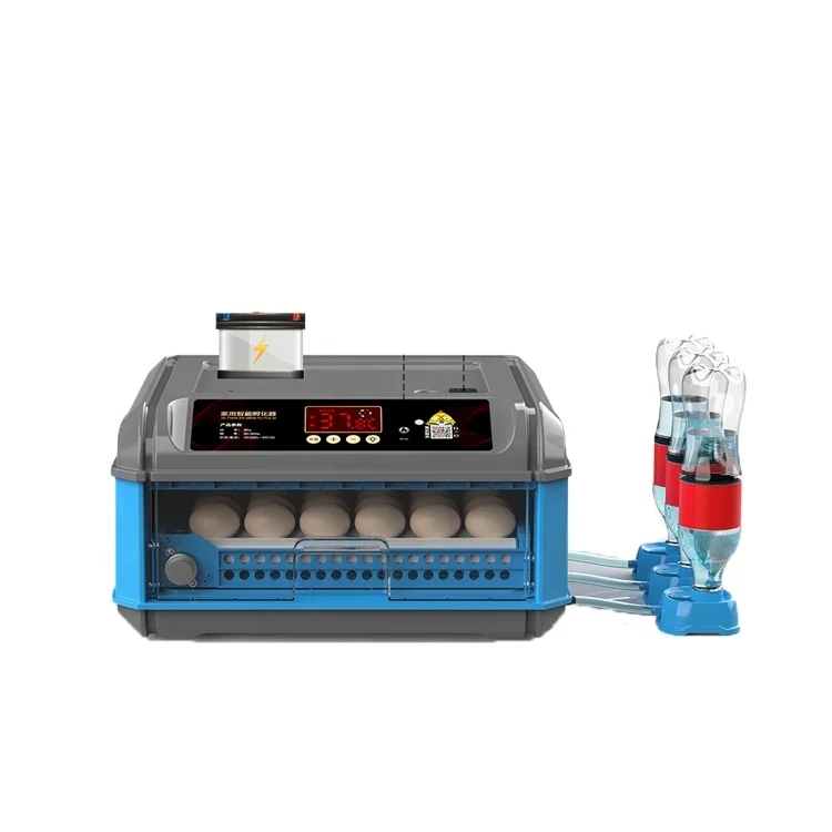 Mini Small 64 Egg Incubators for Different Eggs Hot Sale in Dubai