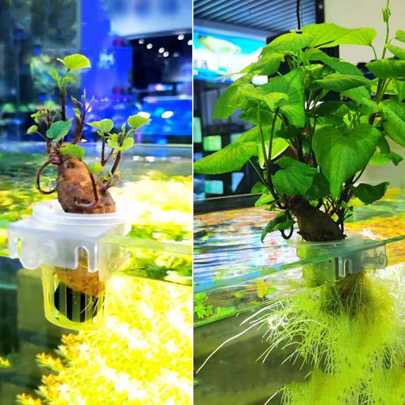 Aquarium Planting Basket Hydroponic Support Hangable Fish Tank Water Grass Cup Aquatic Plant Holder Wall Hanging Flower Pots New