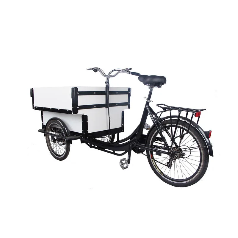 Trends Style Electric Mobile Cargo Bike White Color Motorized Tricycles for Adults Family Kids Children Scooter