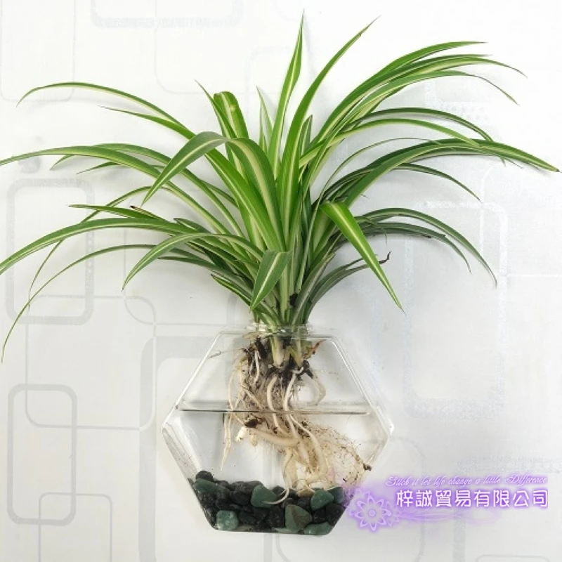 

Шестиугольная ваза Рождественская шестигранная настенная террариумная стеклянная ваза для цветов настенная круглая сфера настольные вазы украшение дома прозрачная