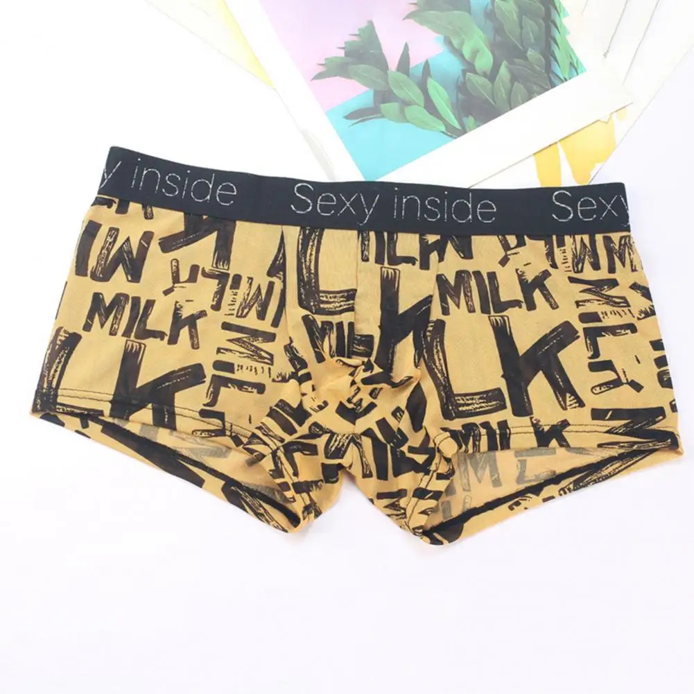 Mesh Sheer Ice Silk Men Briefs Sexy Leopard Print Underpants See Through Boxers Traceless Briefs Shorts Bulge Pouch Underwear