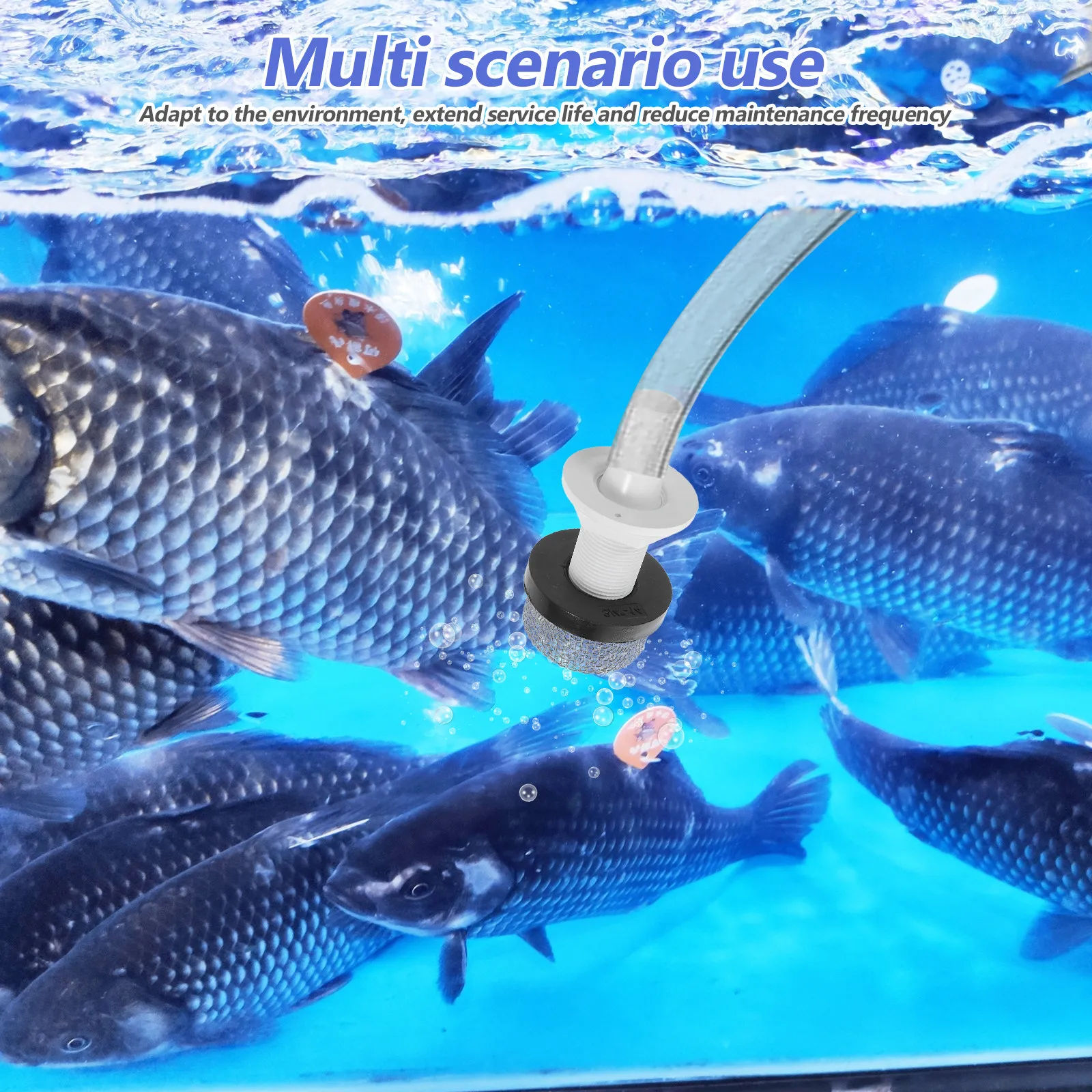 보트 라이브 웰 펌프 물 필터 교체 헤드 수족관 펌프  - Marine Aquarium Live 리뷰 및 가격