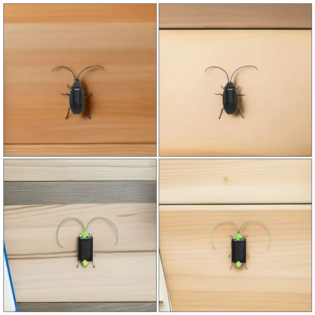 4 stuks zonne-insecten insecten plastic realistische kakkerlak simulatie educatief klaslokaal wetenschapsexperiment