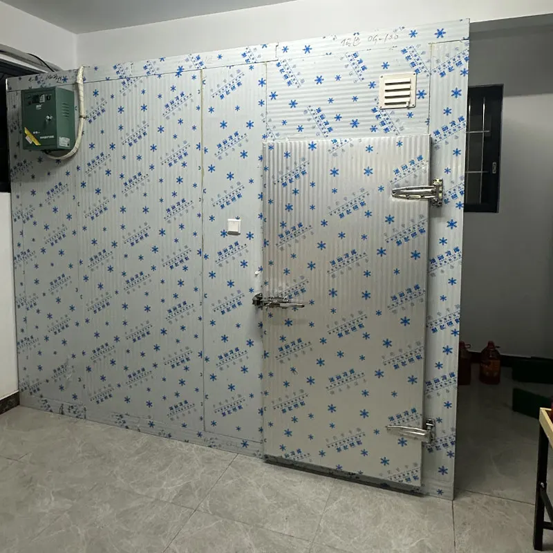 Camminata personalizzata ad alta efficienza nella stanza di congelamento nella stanza fredda fredda di refrigerazione commerciale dell'unità di raffreddamento
