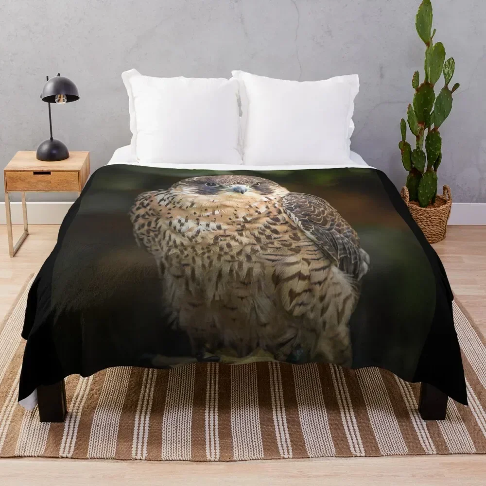 

Peregrine Falcon Bird of Prey Portrait Throw Blanket Thermal Luxury Brand Sleeping Bag Soft Plush Plaid Blankets