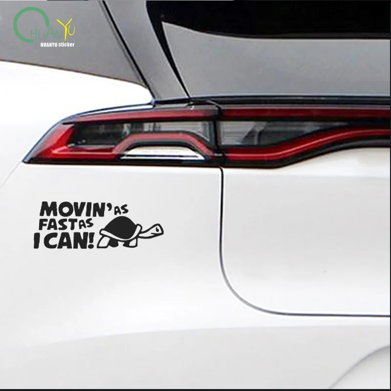Funny Turtle Vinyl Stickers 