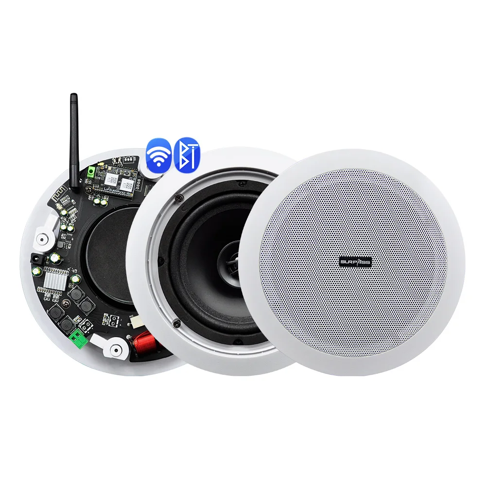 Digital Class-D WiFi Wall Mount Smart Audio Music Player Ceiling Speakers