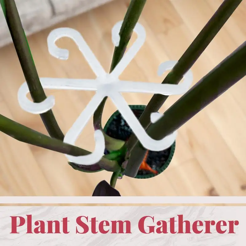 Stem Holders For Plant Alocasia Monstera Leaf Support 4Pcs Vine Support Clips For Climb Plant To Grow Upright And Make Healthier