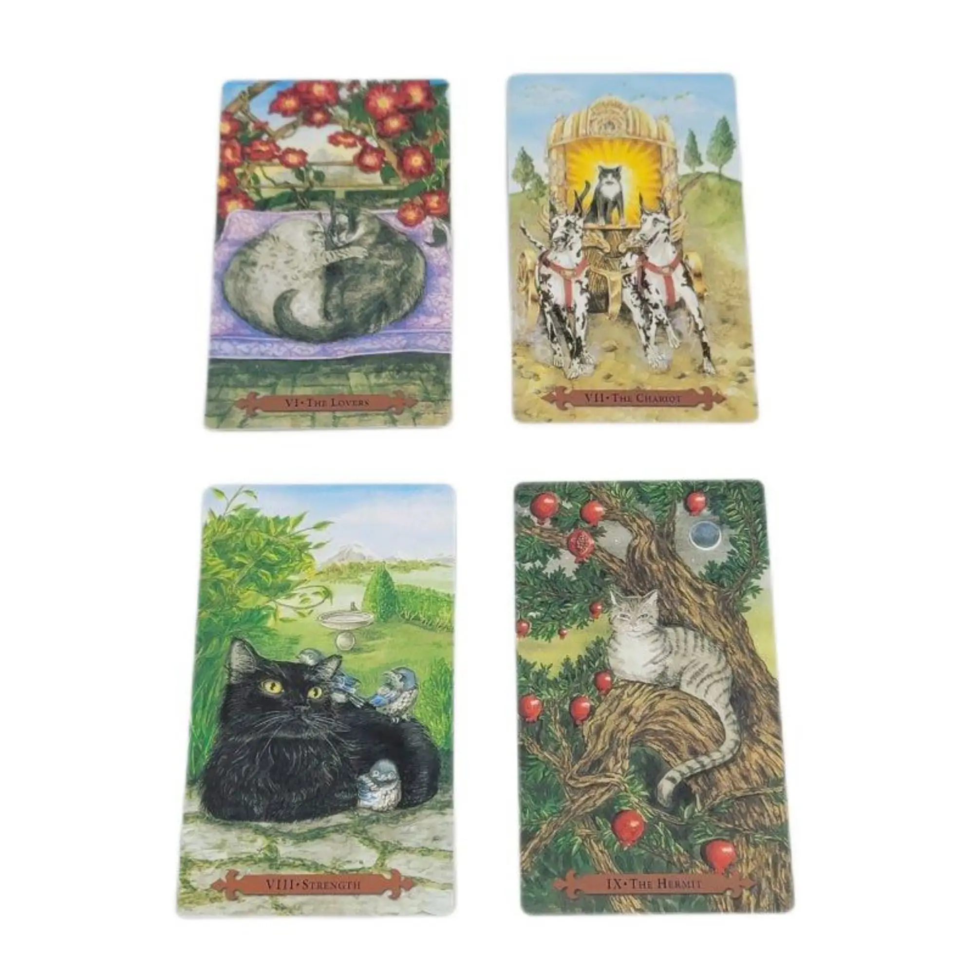 Mystical Cat Tarot New English Card Deck 12x7cm 78 Cards/Set Nice Kinds of Cats Design For Parent-child Interaction Games