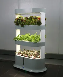 Smart Hydroponic Growing System Kit, Indoor Intelligent Vegetables Planter with 3 Layer, Independent Control