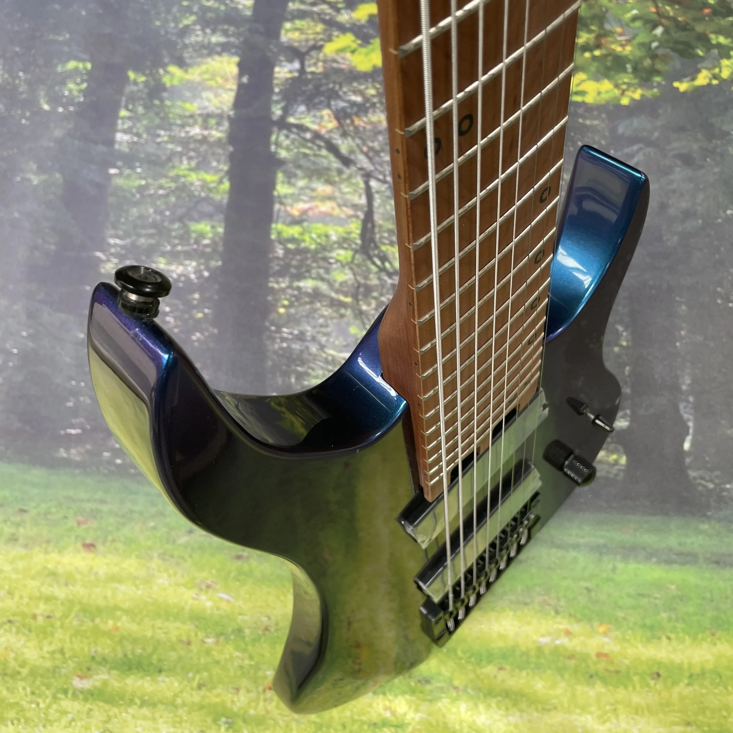 Chameleon 8-string electric guitar black hardware guitars