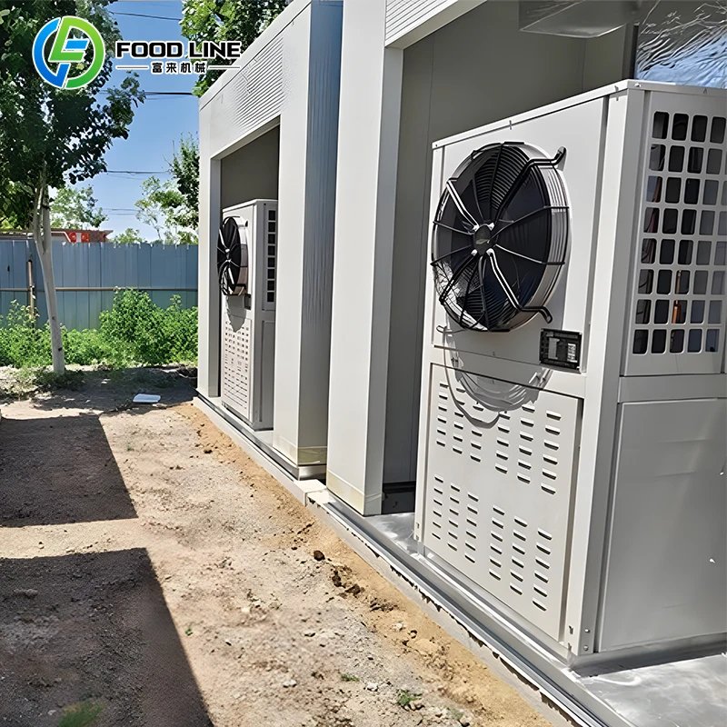 Customized Large Automatic Hydroponic Mushroom Growing Container With Advanced Control System