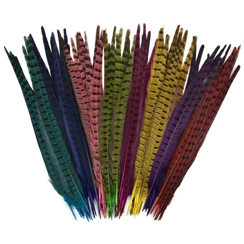 10Pcs Colored Natural Ringneck Long Pheasant Feathers for Crafts Decor Clothes Big Feather Hats Carnival Manmade Decorations