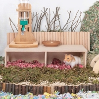 Hamster Wood Hideout Small Nest Solid Wood Small House Hamster Resting Nest Golden Silk Bear Small Villa Toy Supplies Drop Ship